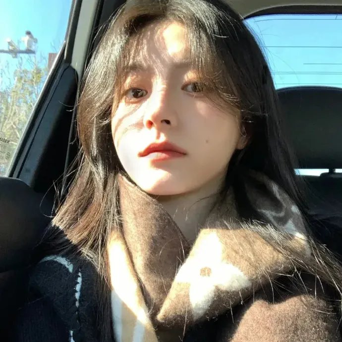 五十一号狗计划